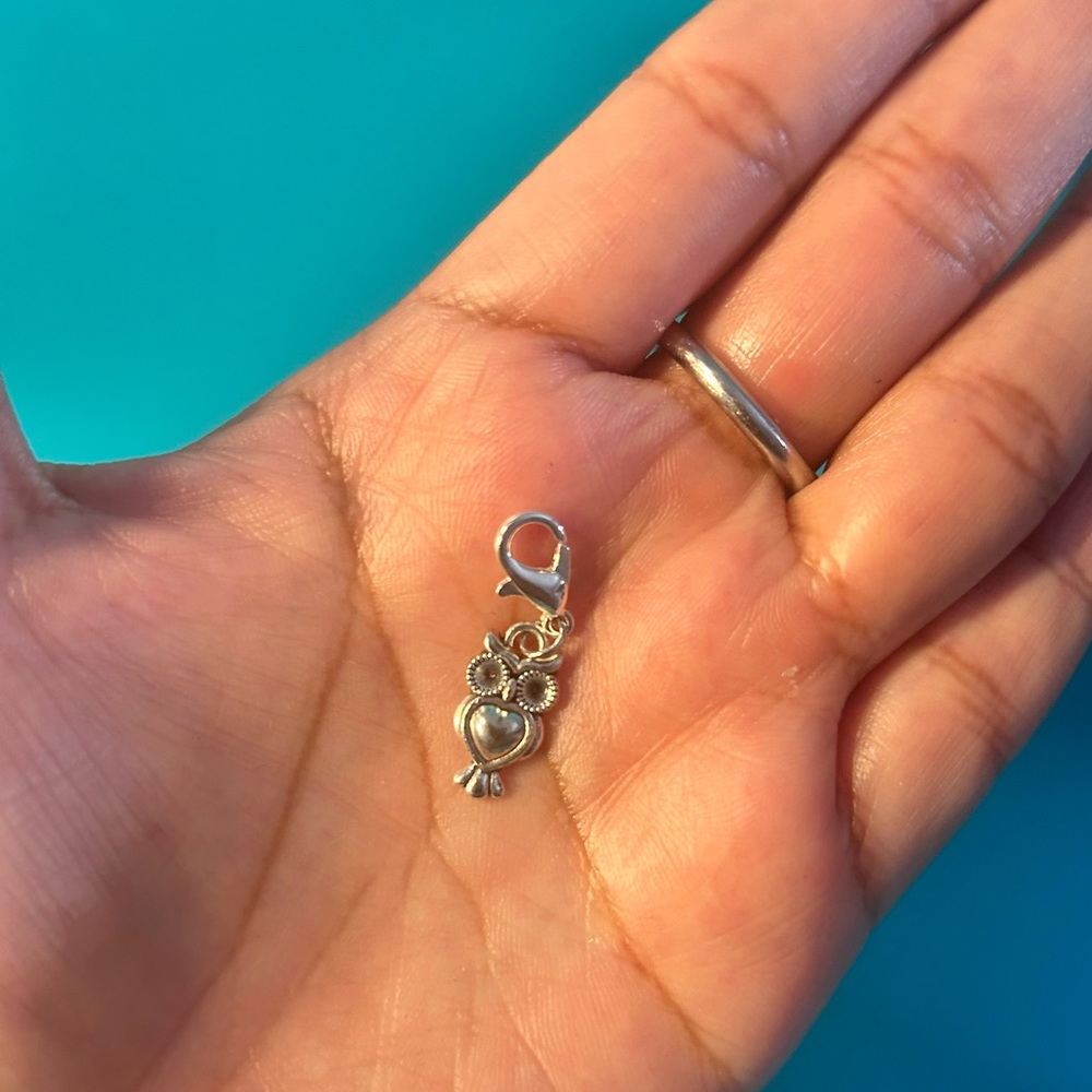 Owl 🦉 Charm